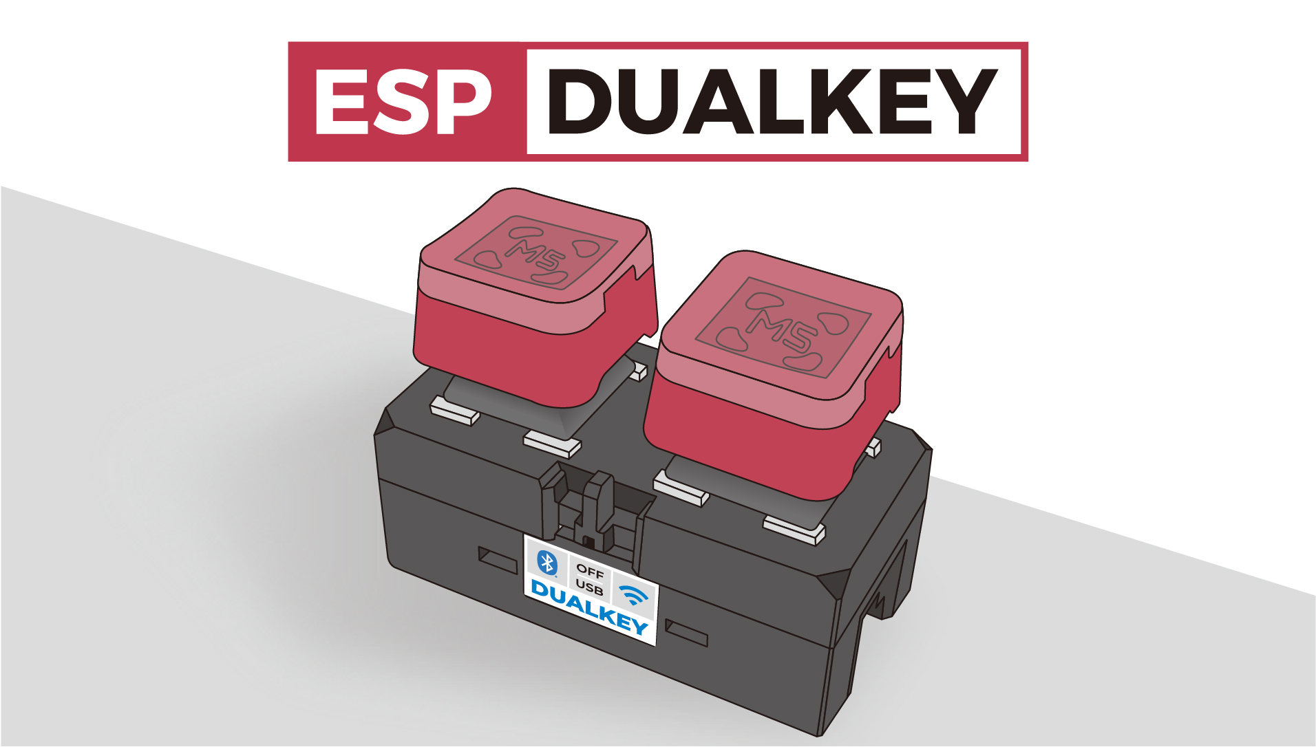 ESP-DualKey Front View (Click to enlarge)