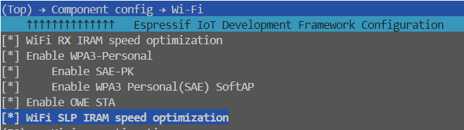 Figure 2-8 Enable Sleep IRAM Speed optimization