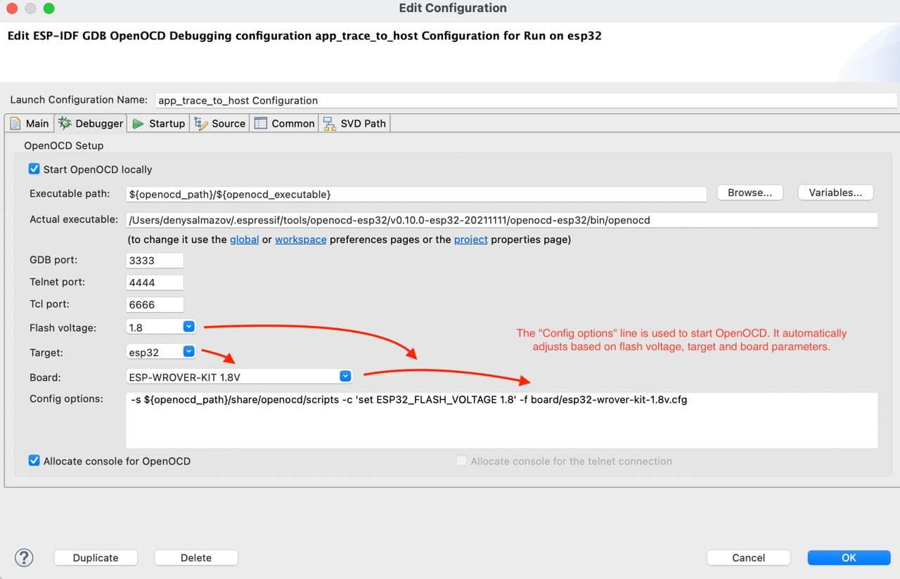 Debug configuration setup